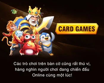 Hỗ trợ VIP 24/7